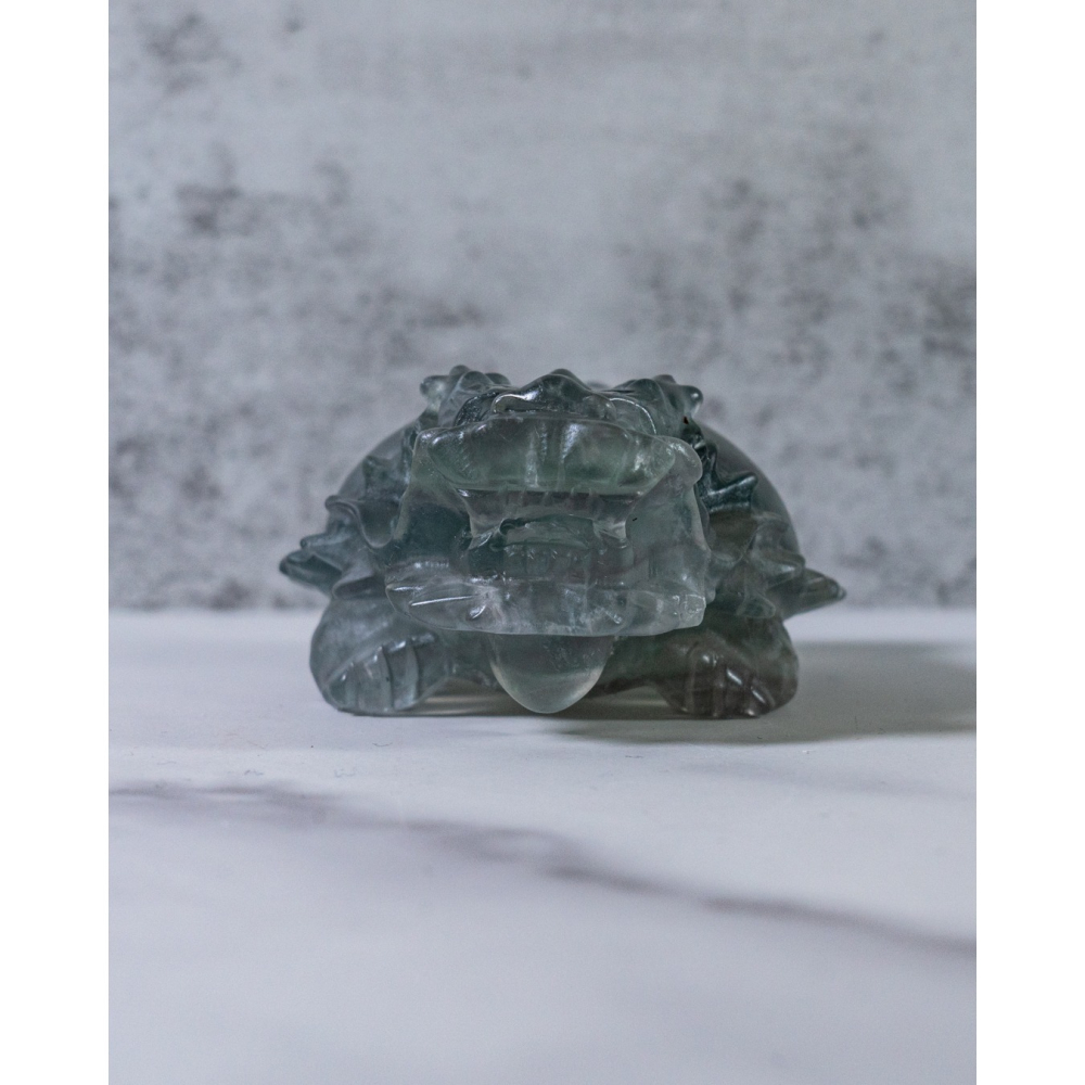 灰綠細閃雲母螢石圓背龍龜-細節圖8