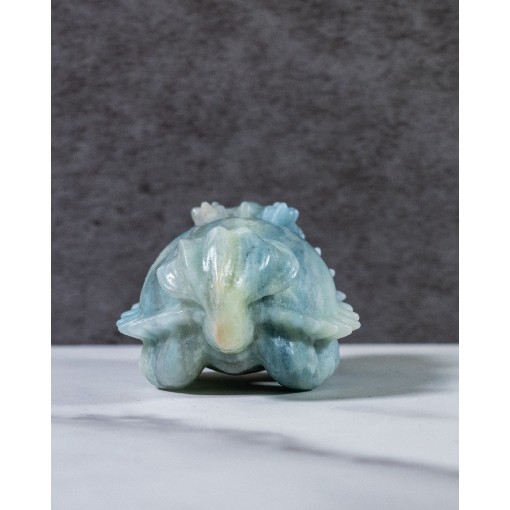 藍方解石圓背龍龜-細節圖3