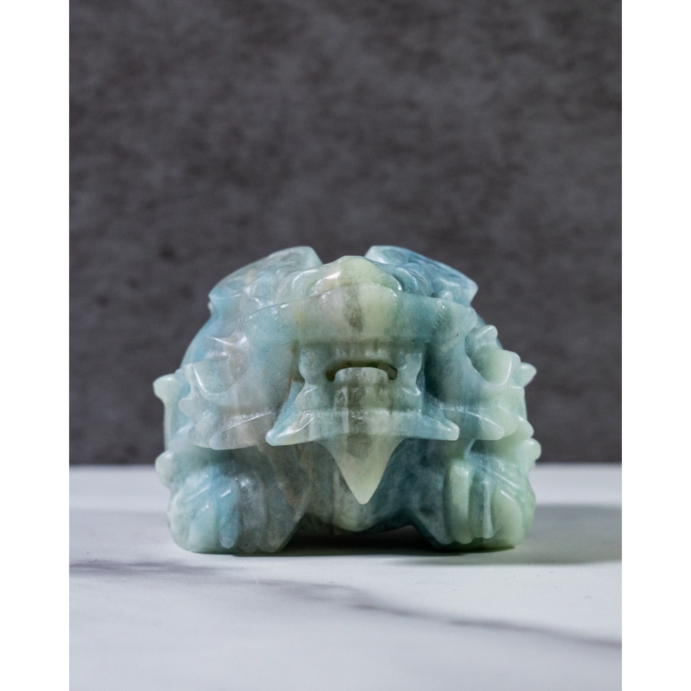 藍方解石背錢龍龜-細節圖8