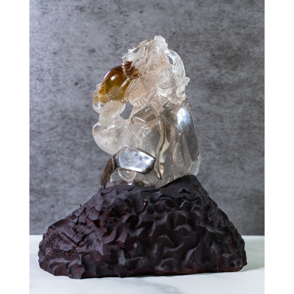 精品收藏等級-黃膠花動態水龍龜-細節圖3