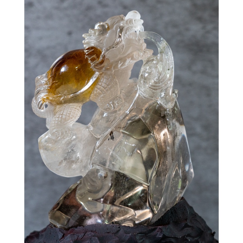 精品收藏等級-黃膠花動態水龍龜-細節圖5