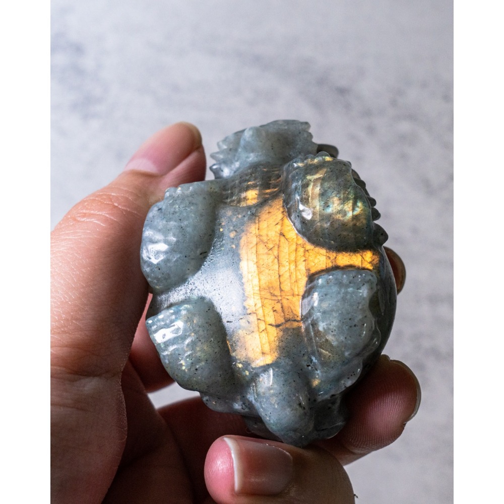 金橘光拉長石圓背龍龜-細節圖3