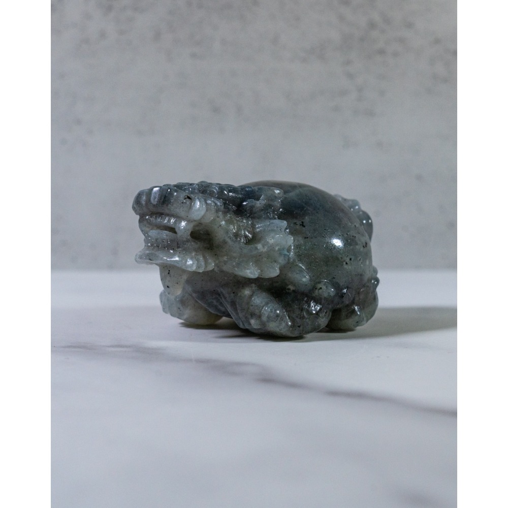 金橘光拉長石圓背龍龜-細節圖4