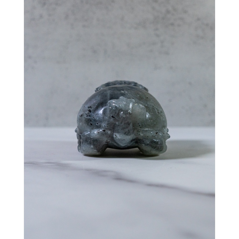 金橘光拉長石圓背龍龜-細節圖8