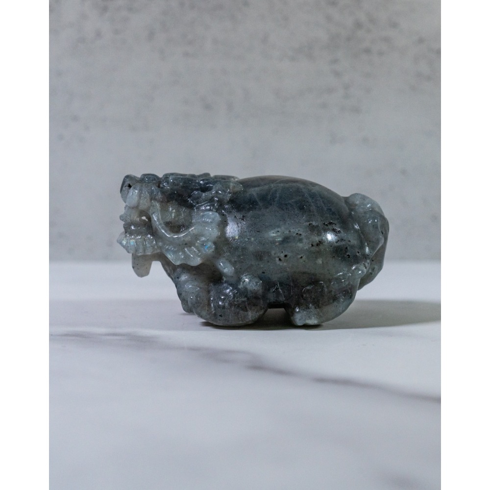 金橘光拉長石圓背龍龜-細節圖10