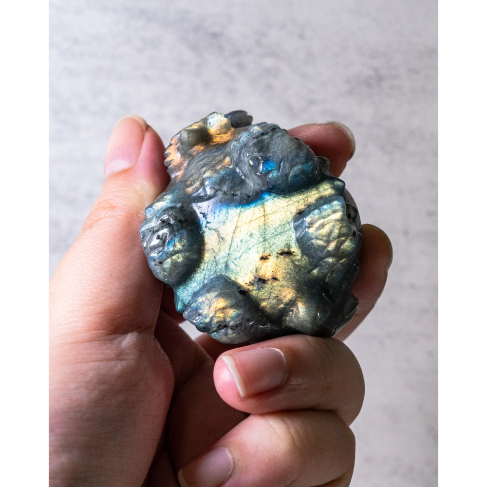 彩光拉長石圓背龍龜-細節圖3