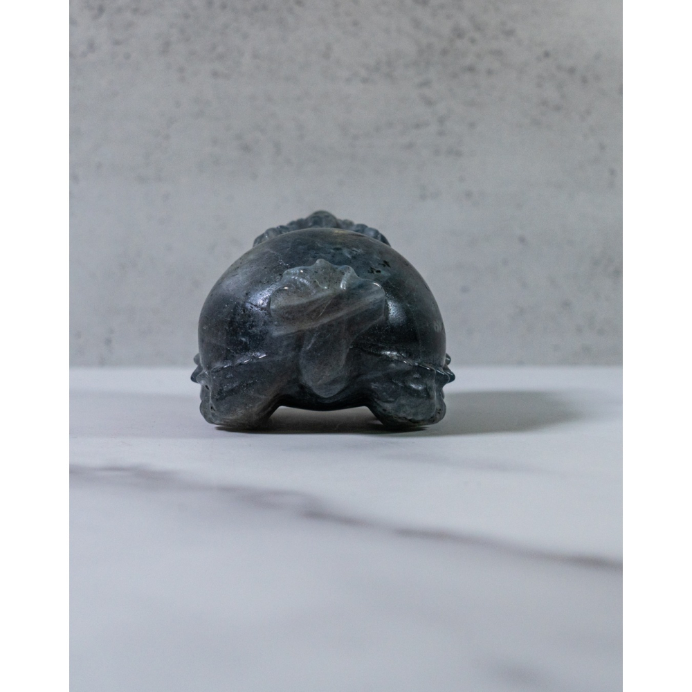 彩光拉長石圓背龍龜-細節圖4