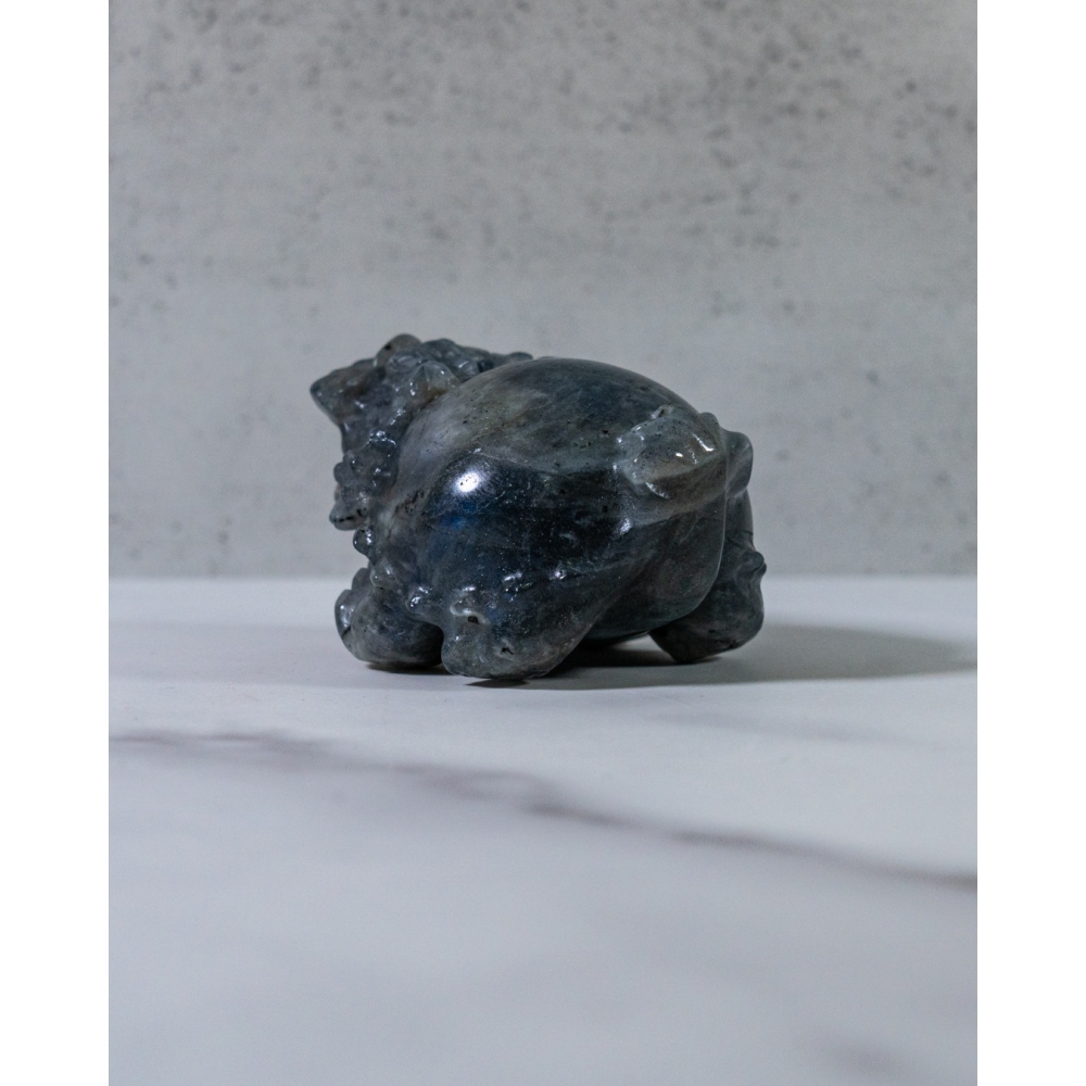 彩光拉長石圓背龍龜-細節圖5