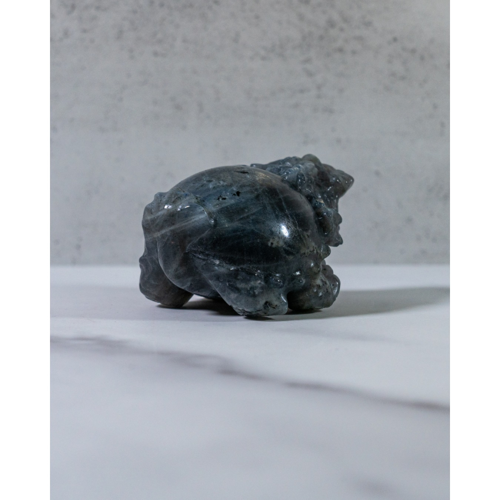 彩光拉長石圓背龍龜-細節圖6