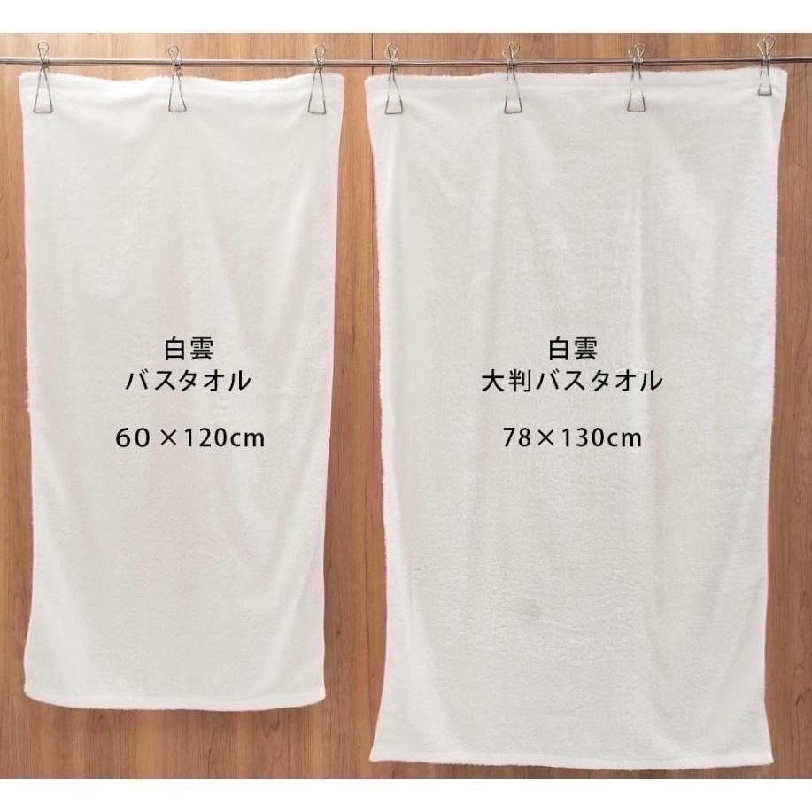 【一草一木】頂級日本製今治產白雲系列毛巾 大判浴巾 浴巾 包巾~每日皆可享受如在雲端的溫柔觸感/彌月禮物~保證正品~-細節圖3