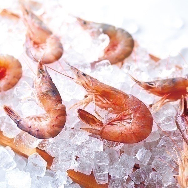 【坂角總本鋪】蛇年限量款 本名古屋百年蝦片 ゆかり 蝦煎餅 鮮蝦蝦餅 全系列代購 頂級禮盒 每周回台 過年禮盒-細節圖7