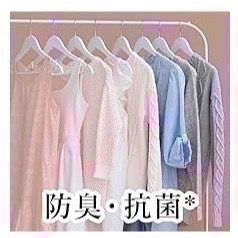 【LAVONS】朗法 日本製 衣物洗劑 高級衣物 柔軟劑 芳香噴劑 補充包 月色香檳 洗衣精 高級香味 天然香料-細節圖2