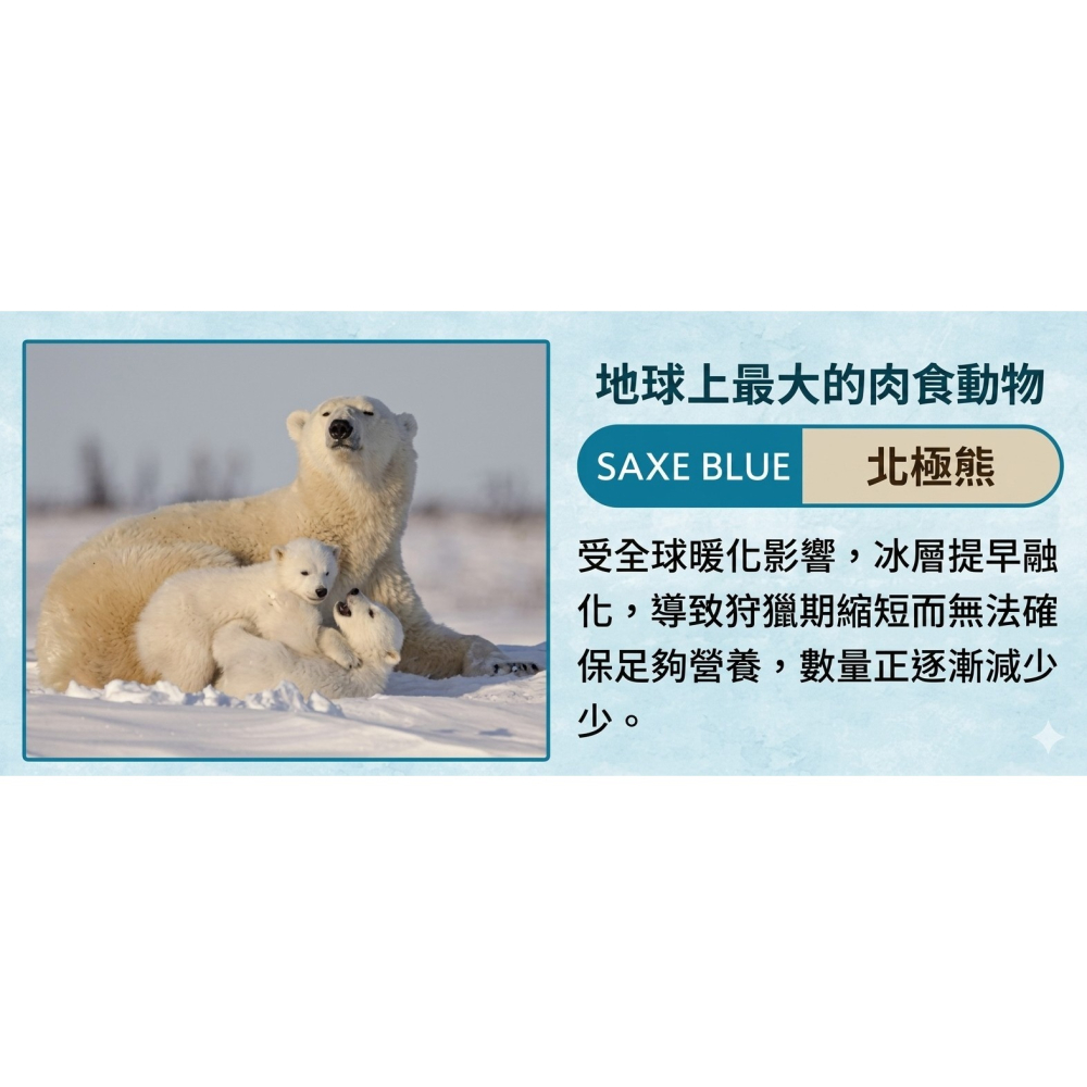 【一草一木】Wpc.瀕臨絕種動物系列 雨傘 折傘 陽傘 動物刺繡 100%抗UV 傘底黑膠 貓 貓熊 海獺 北極熊-細節圖7