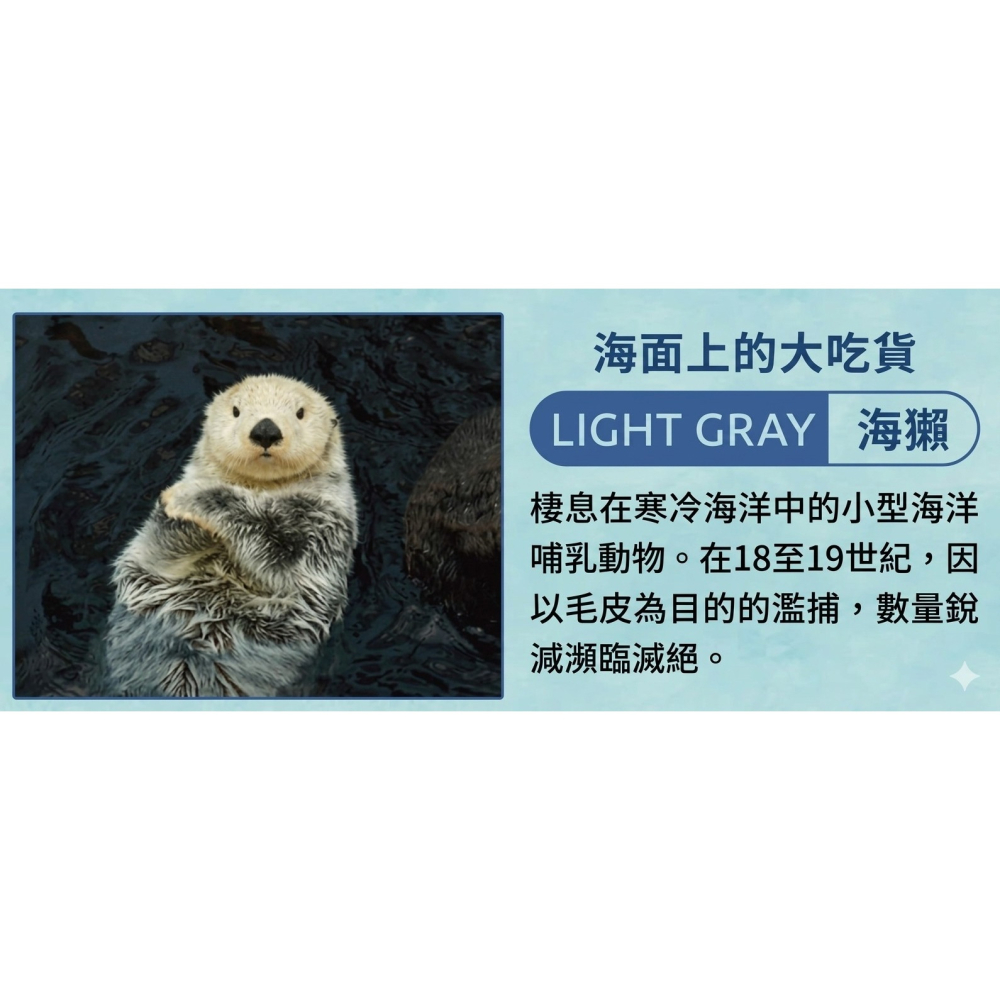 【一草一木】Wpc.瀕臨絕種動物系列 雨傘 折傘 陽傘 動物刺繡 100%抗UV 傘底黑膠 貓 貓熊 海獺 北極熊-細節圖8