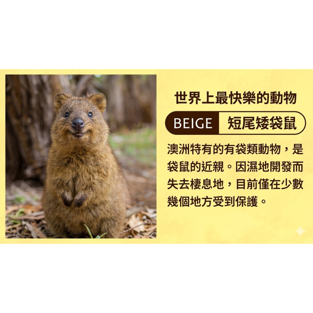 【一草一木】Wpc.瀕臨絕種動物系列 雨傘 折傘 陽傘 動物刺繡 100%抗UV 傘底黑膠 貓 貓熊 海獺 北極熊-細節圖10
