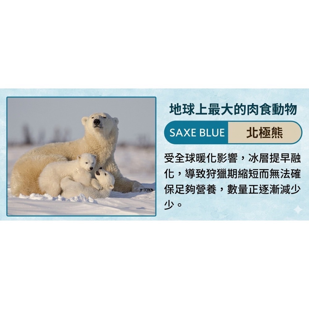 【一草一木】Wpc.瀕臨絕種動物系列 雨傘 折傘 陽傘 動物刺繡 100%抗UV 傘底黑膠 貓 貓熊 海獺 北極熊-細節圖7