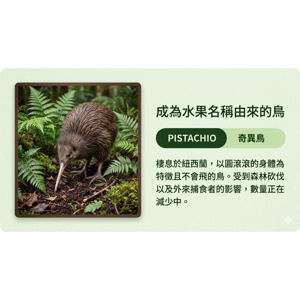 【一草一木】Wpc.瀕臨絕種動物系列 雨傘 折傘 陽傘 動物刺繡 100%抗UV 傘底黑膠 貓 貓熊 海獺 北極熊-細節圖4