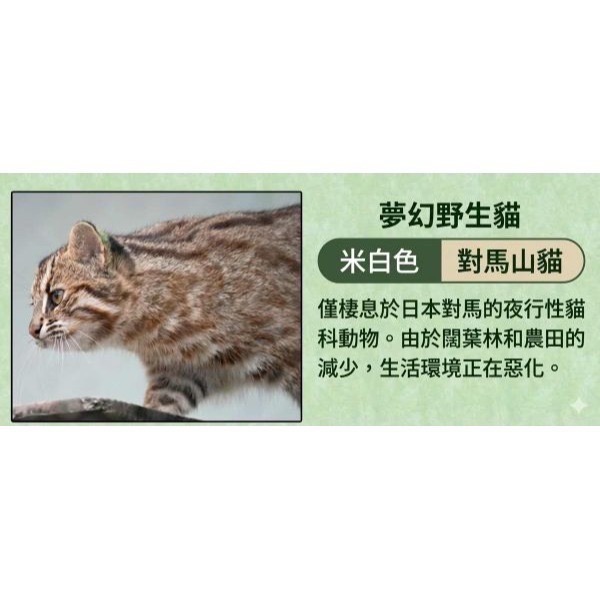 【一草一木】Wpc.瀕臨絕種動物系列 雨傘 折傘 陽傘 動物刺繡 100%抗UV 傘底黑膠 貓 貓熊 海獺 北極熊-細節圖5