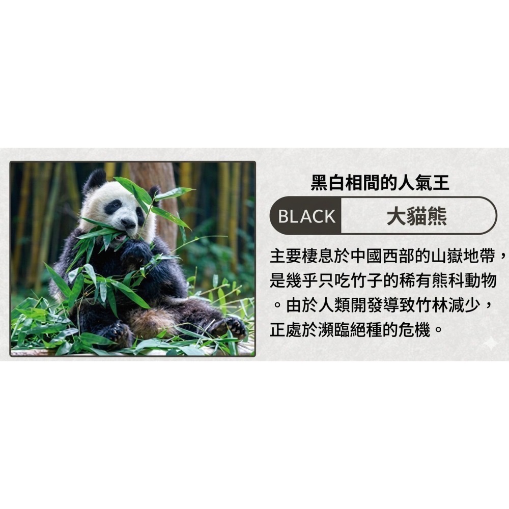 【一草一木】Wpc.瀕臨絕種動物系列 雨傘 折傘 陽傘 動物刺繡 100%抗UV 傘底黑膠 貓 貓熊 海獺 北極熊-細節圖6