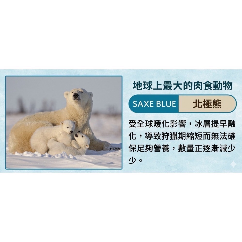 【一草一木】Wpc.瀕臨絕種動物系列 雨傘 折傘 陽傘 動物刺繡 100%抗UV 傘底黑膠 貓 貓熊 海獺 北極熊-細節圖7