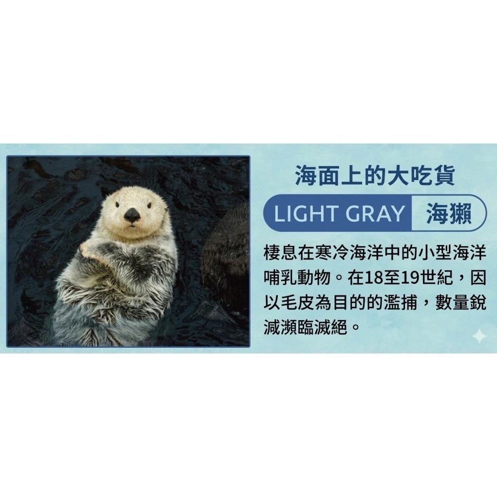 【一草一木】Wpc.瀕臨絕種動物系列 雨傘 折傘 陽傘 動物刺繡 100%抗UV 傘底黑膠 貓 貓熊 海獺 北極熊-細節圖8