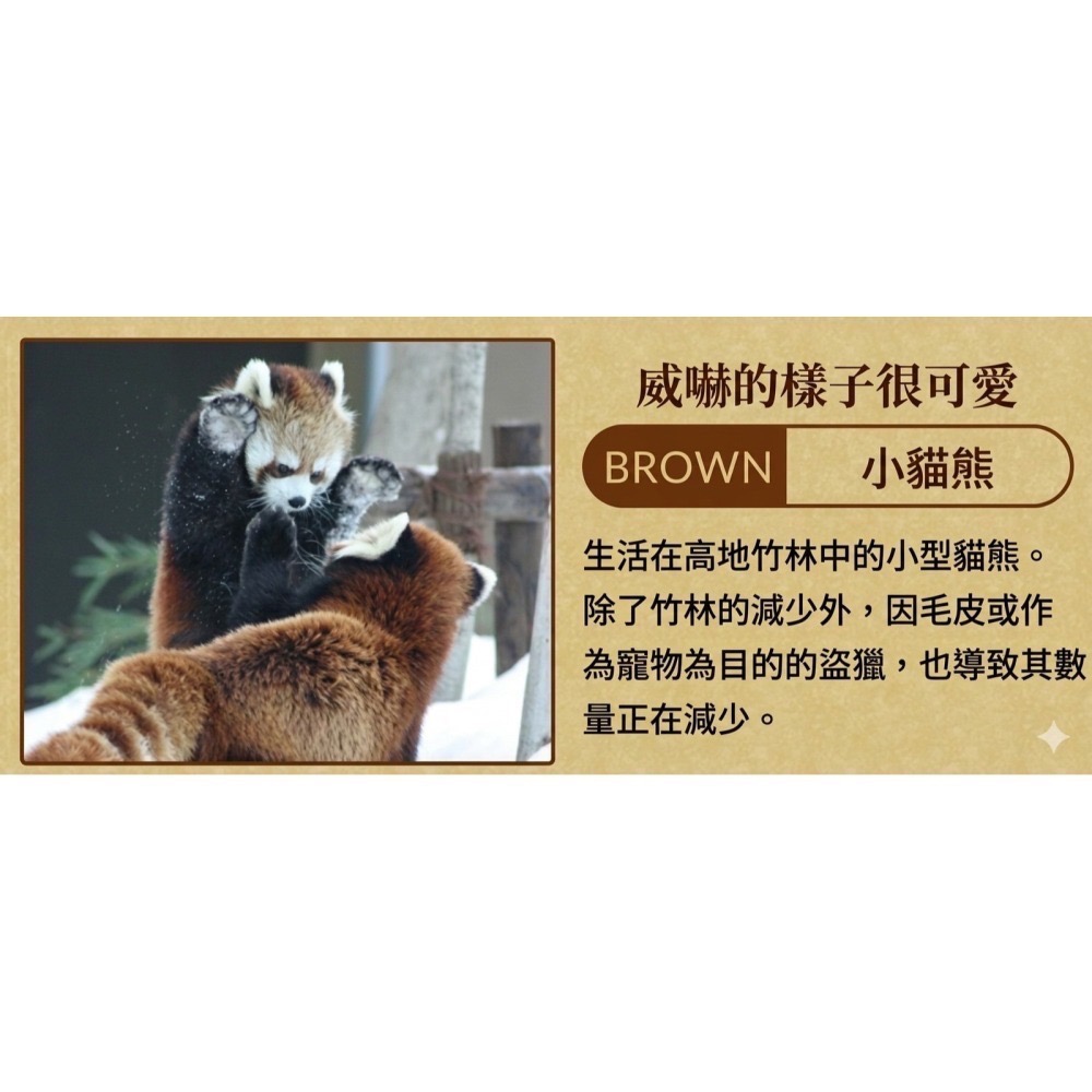 【一草一木】Wpc.瀕臨絕種動物系列 雨傘 折傘 陽傘 動物刺繡 100%抗UV 傘底黑膠 貓 貓熊 海獺 北極熊-細節圖9