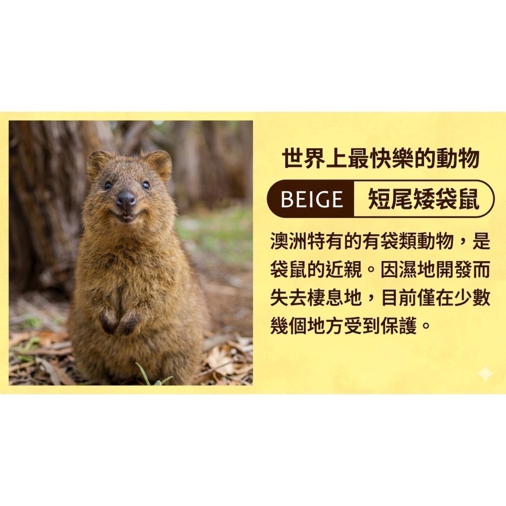 【一草一木】Wpc.瀕臨絕種動物系列 雨傘 折傘 陽傘 動物刺繡 100%抗UV 傘底黑膠 貓 貓熊 海獺 北極熊-細節圖10