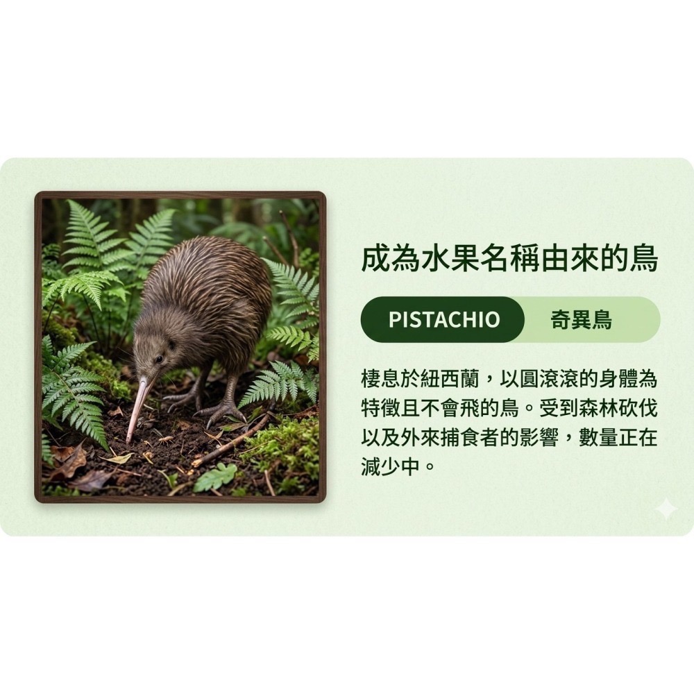 【一草一木】Wpc.瀕臨絕種動物系列 雨傘 折傘 陽傘 動物刺繡 100%抗UV 傘底黑膠 貓 貓熊 海獺 北極熊-細節圖4