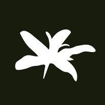 📣[2入組]優惠實施中...巴拿馬【翡翠莊園】藝伎／Geisha ＃Jaramillo私藏綠標水洗＿淺焙｜【宅・珈琲】-細節圖3