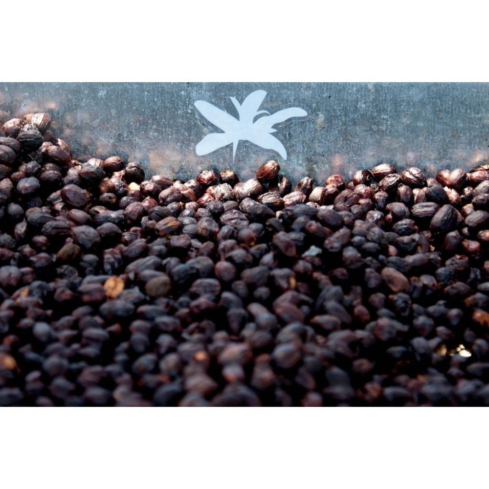 📣[2入組]優惠實施中...巴拿馬【翡翠莊園】藝伎／Geisha ＃Jaramillo私藏綠標水洗＿淺焙｜【宅・珈琲】-細節圖8