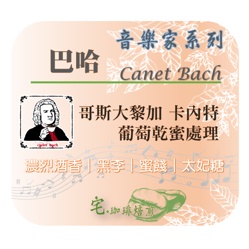 📣[2入組]優惠實施中...哥斯大黎加【♫音樂家系列♪】#莫札特 #蕭邦 #巴哈 #貝多芬｜【宅・珈琲】-細節圖3