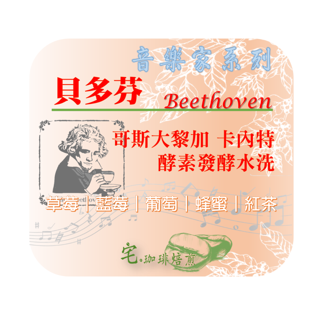 📣[2入組]優惠實施中...哥斯大黎加【♫音樂家系列♪】#莫札特 #蕭邦 #巴哈 #貝多芬｜【宅・珈琲】-細節圖5