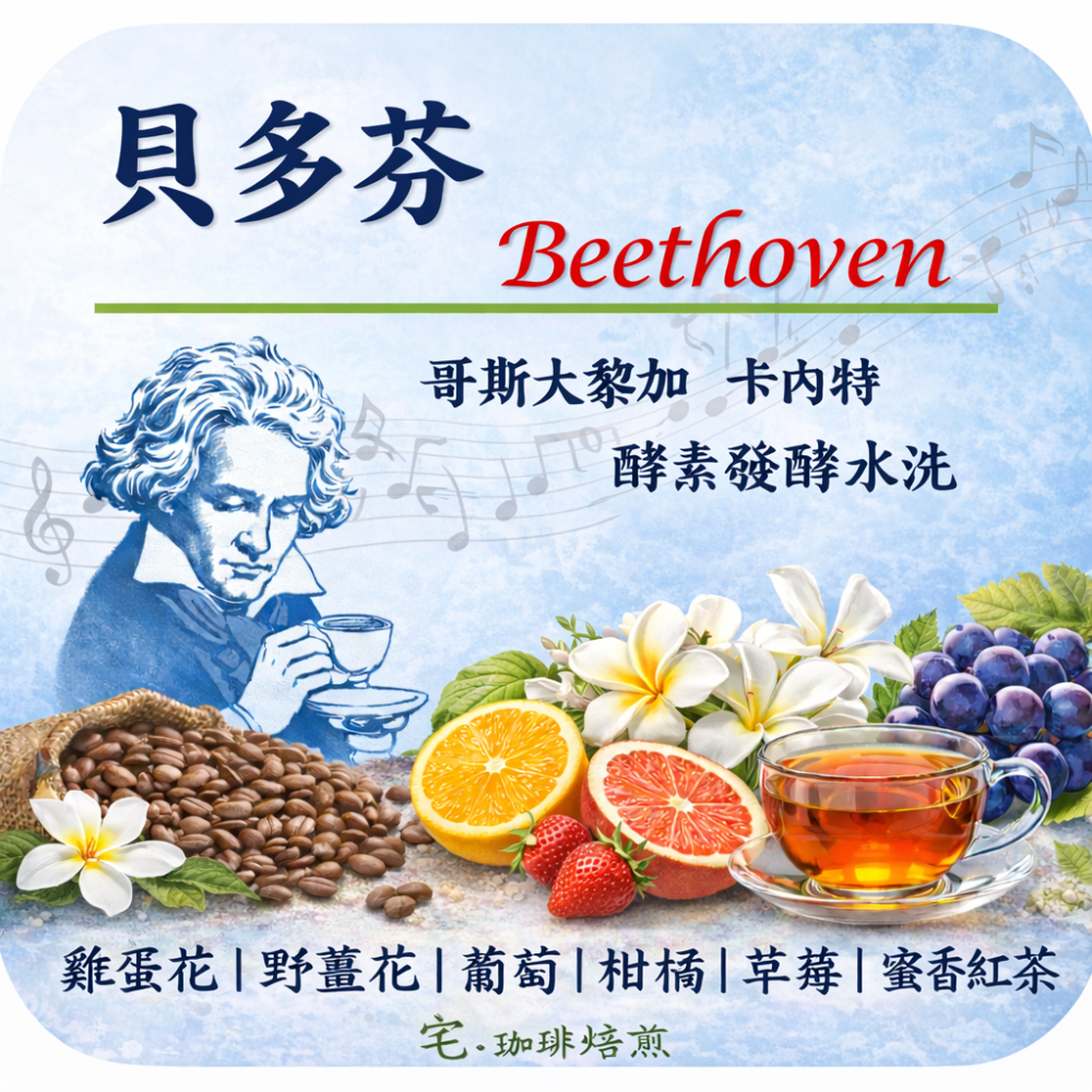 📣[2入組]優惠實施中...哥斯大黎加【♫音樂家系列♪】#莫札特 #蕭邦 #巴哈 #貝多芬｜【宅・珈琲】-細節圖4