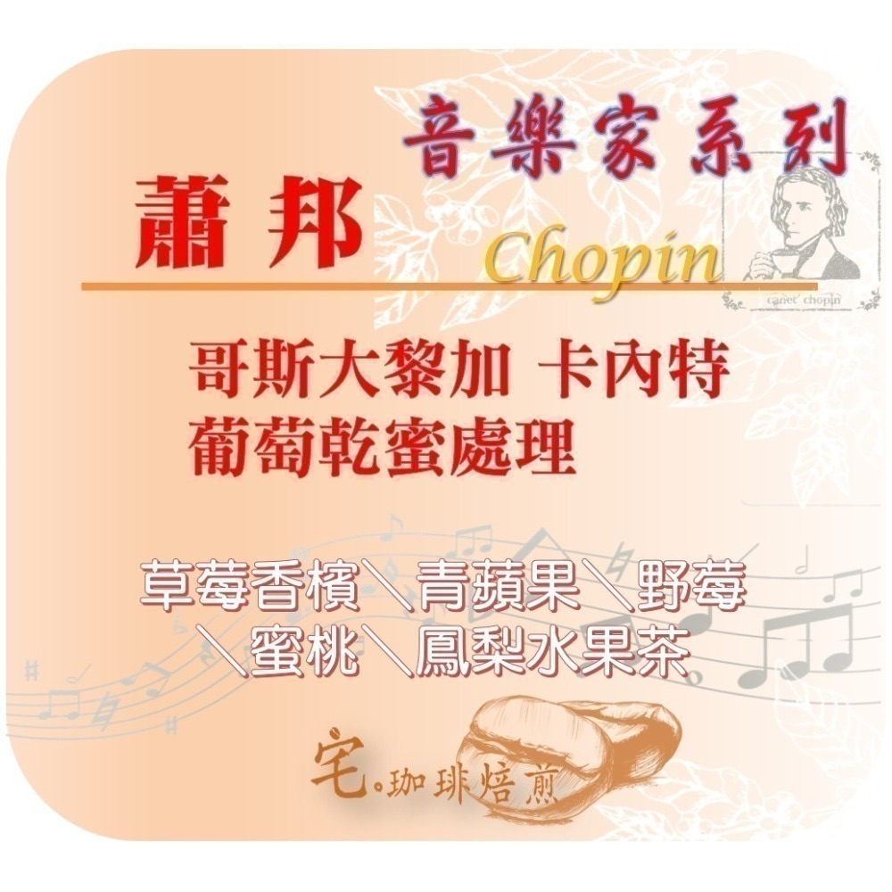 📣[2入組]優惠實施中...哥斯大黎加【♫音樂家系列♪】#莫札特 #蕭邦 #巴哈 #貝多芬｜【宅・珈琲】-細節圖7