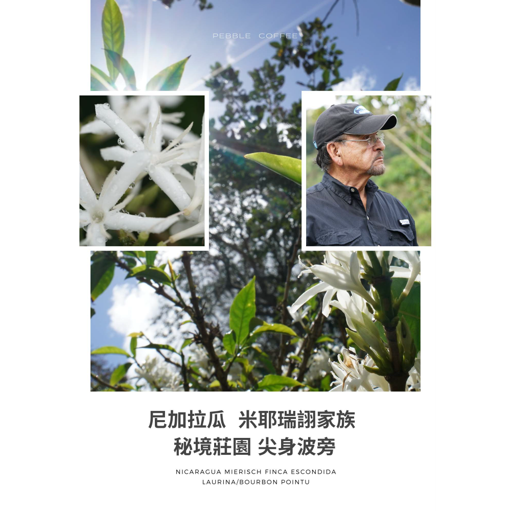 📣[2入組]優惠實施中...尼加拉瓜・【秘境莊園.尖身波旁】＃水洗＃天然半低因｜【宅・珈琲】-細節圖6