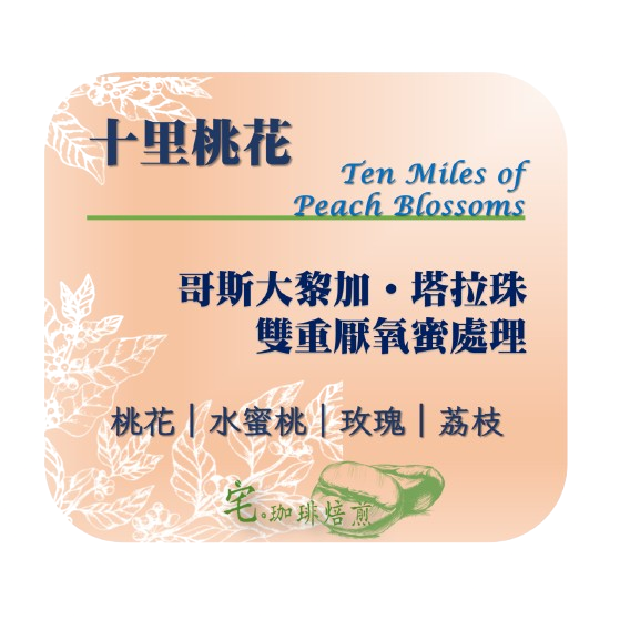 📣[2入組]優惠實施中...哥斯大黎加【十里桃花】＃雙重厭氧蜜處理｜【宅・珈琲】-規格圖6