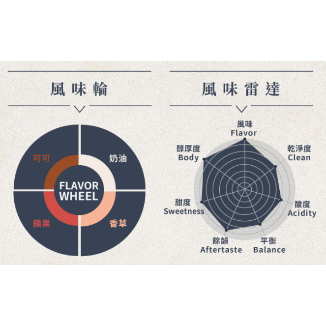 （香草／蘋果／可可／奶油）牙買加＿藍山No.1【克里福頓莊園】#日曬＿淺中焙｜【宅・珈琲】-細節圖5