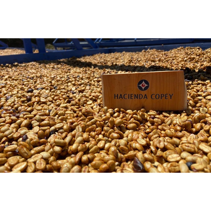 📣[2入組]優惠實施中...哥斯大黎加【科佩莊園】＃黑蜜＿淺中焙｜【宅・珈琲】-細節圖5