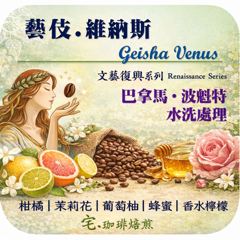 📢2入組優惠中＿巴拿馬【維納斯／藝伎】＃水洗＿淺中焙｜【宅・珈琲】-細節圖3