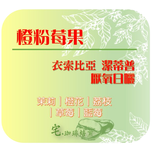 📢2入組優惠中＿衣索比亞【橙粉莓果】＃厭氧日曬＿淺焙｜【宅・珈琲】-細節圖2