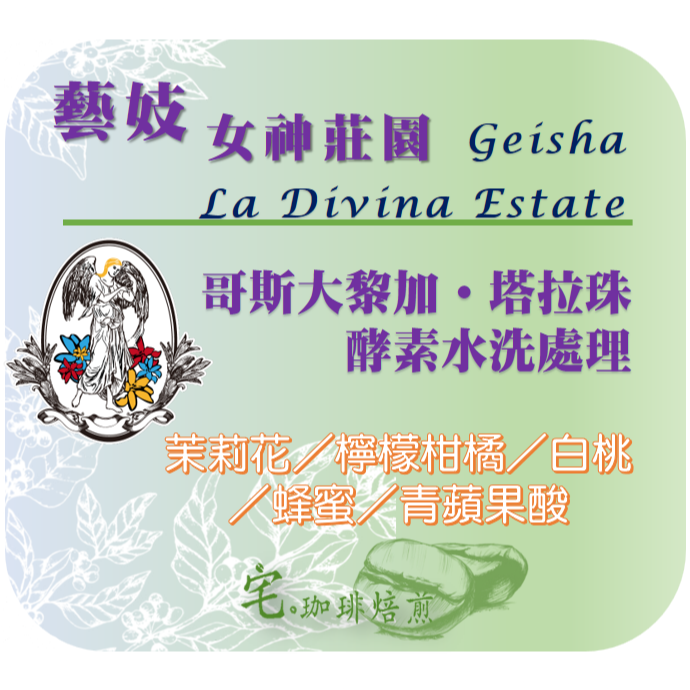 📢2入組優惠實施中...哥斯大黎加【女神莊園＿藝伎】＃酵素水洗＿淺中｜【宅・珈琲】-細節圖2