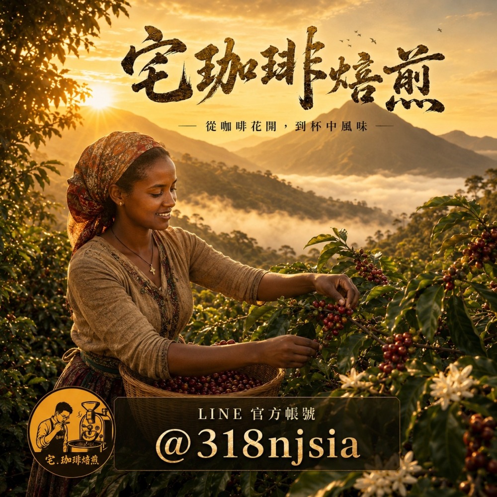 📣[2入組]優惠實施中...衣索比亞・古吉・姬格薩處理廠【姬格薩】＃日曬｜【宅・珈琲】-細節圖3