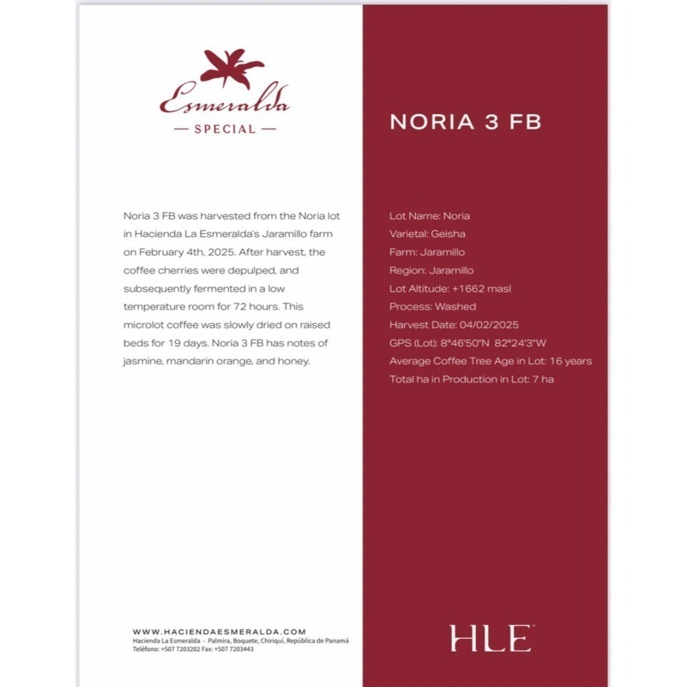 📣[2入組]優惠實施中...巴拿馬・波魁特【翡翠莊園・藝伎｜紅標】＃水洗｜【宅・珈琲】-細節圖2