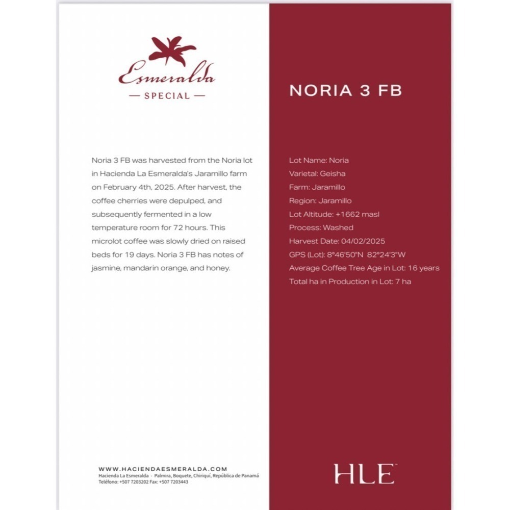 📣[2入組]優惠實施中...巴拿馬・波魁特【翡翠莊園・藝伎｜紅標】＃水洗｜【宅・珈琲】-細節圖3