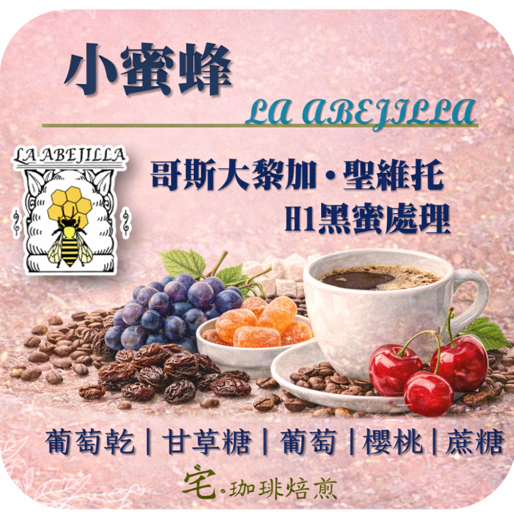 📣[2入組]優惠實施中...哥斯大黎加・聖維托 H1【小蜜蜂】#紅蜜處理｜【宅・珈琲】-細節圖2