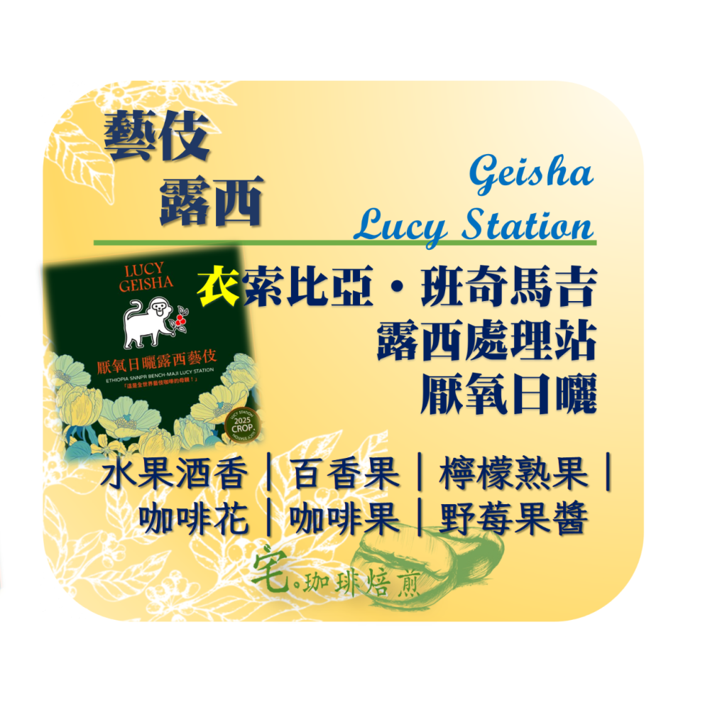 📣[2入組]優惠實施中...衣索比亞・Bench-maji【露西・藝伎】＃厭氧日曬｜【宅・珈琲】-細節圖2