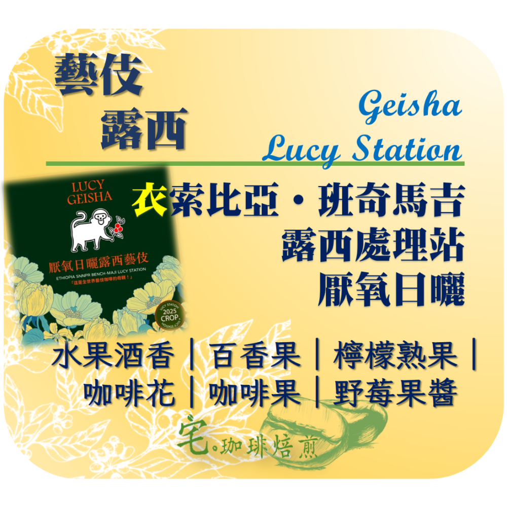 📣[2入組]優惠實施中...衣索比亞・Bench-maji【露西・藝伎】＃厭氧日曬｜【宅・珈琲】-規格圖6