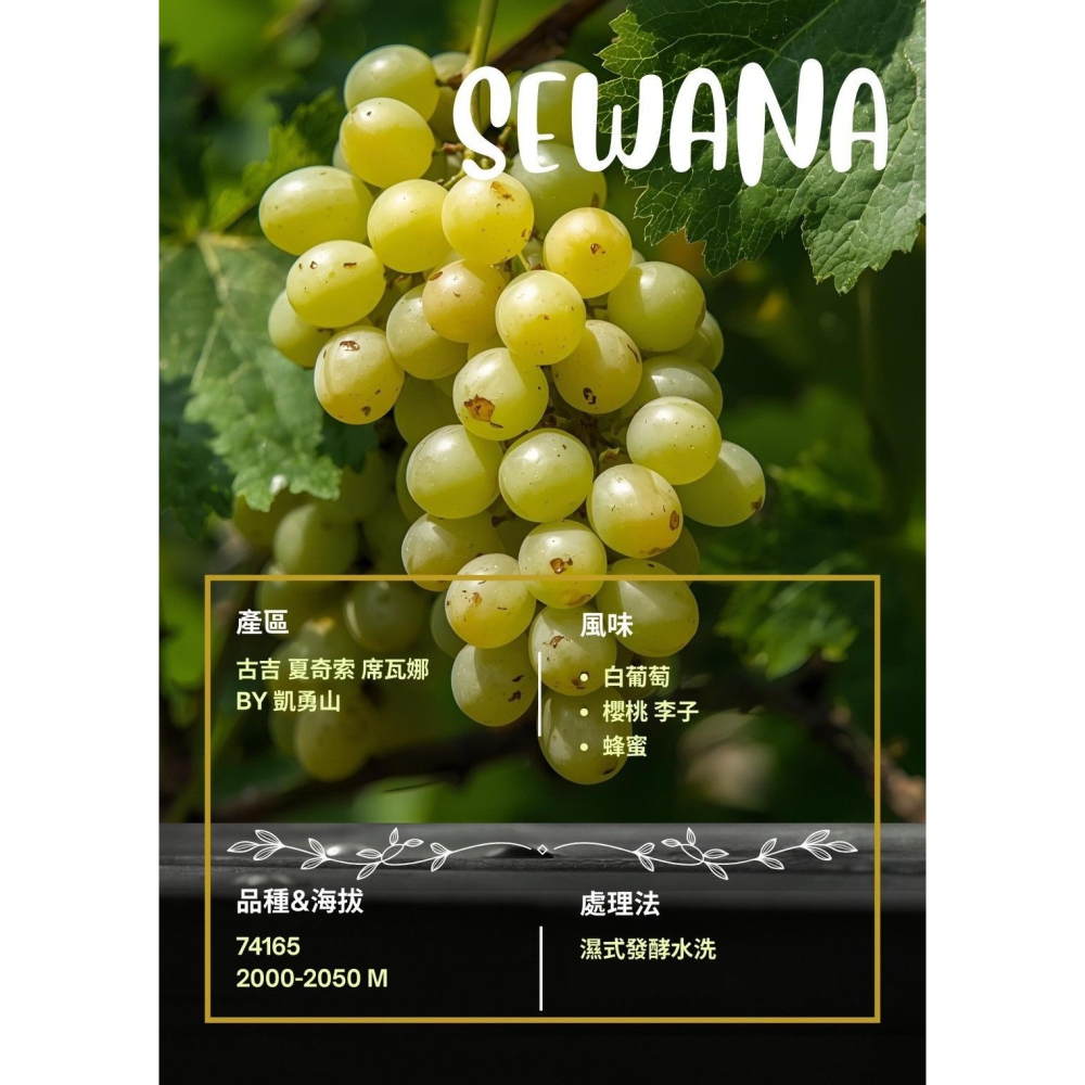 📣[2入組]優惠實施中...衣索比亞・古吉・夏奇索・凱勇山【席瓦娜.v74156】＃濕式發酵水洗｜【宅・珈琲】-細節圖5