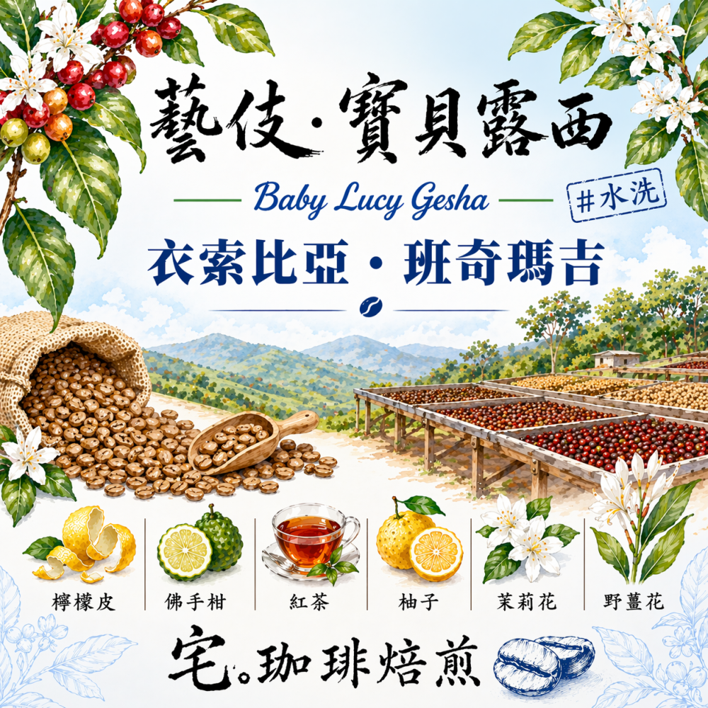 📢2入組優惠實施中...衣索比亞・班奇瑪吉【藝伎.寶貝露西】＃水洗 ｜【宅・珈琲】-細節圖5