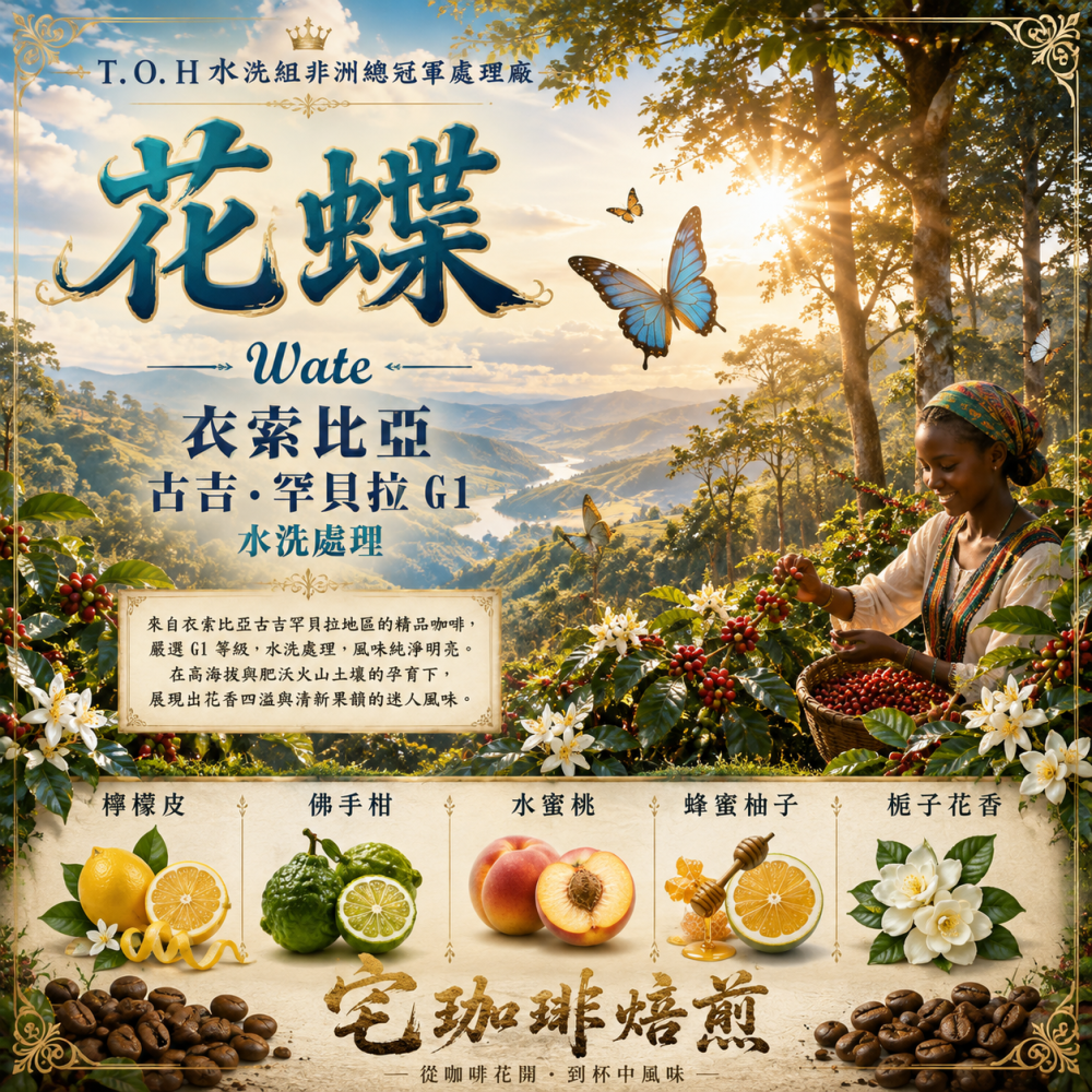 📣[2入組]優惠實施中...衣索比亞・古吉・罕貝拉 G1 【花蝶】 ＃水洗｜【宅珈琲】|【宅咖啡】-細節圖3